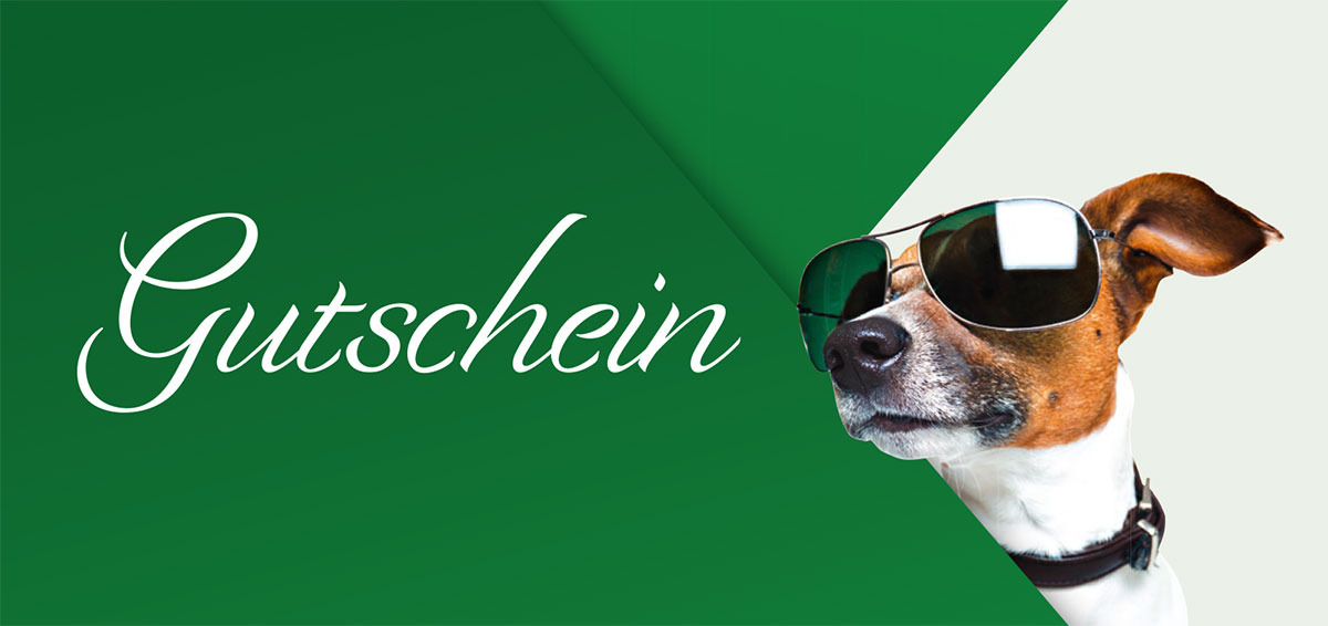 Gutschein für Hundeschule oder Hundepension