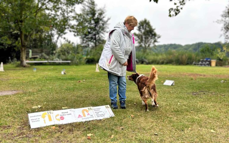 Rally Obedience